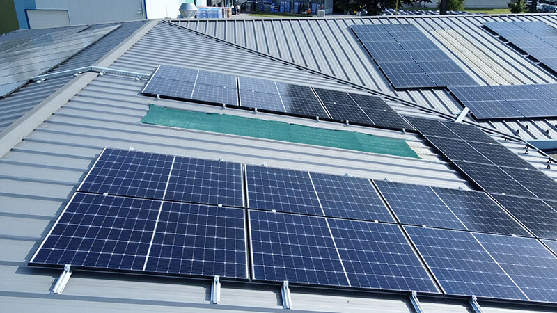 Nepelem referencia 2